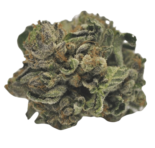 Tilray THC 22 Spotlight Porto Purps