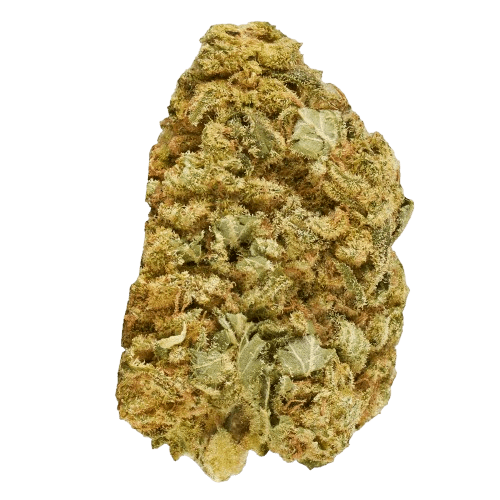 Tilray THC 25 Indica No. 1 Master Kush