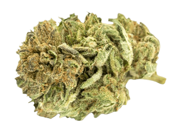 Tilray THC 25 Indica No. 2 Master Kush