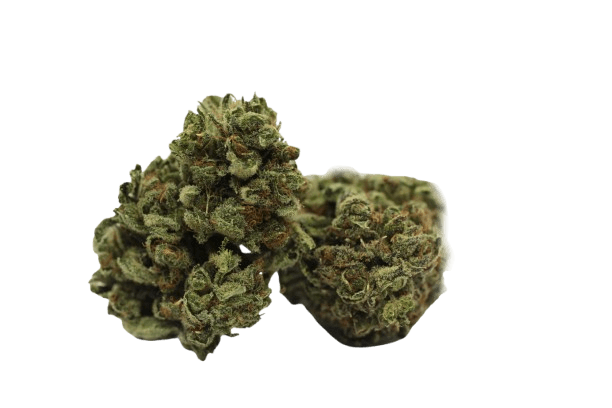 Tilray THC9:CBD9 Warlock No.1
