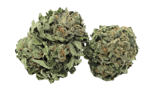 Tilray THC15 Spotlight Porto Black Tuna