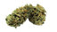 Tilray THC22 Craft Jean Guy Bienville