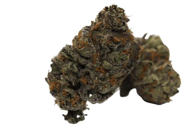 Tilray THC22 Spotlight Porto King Sherb