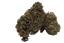 Tilray THC22 Spotlight Porto King Sherb