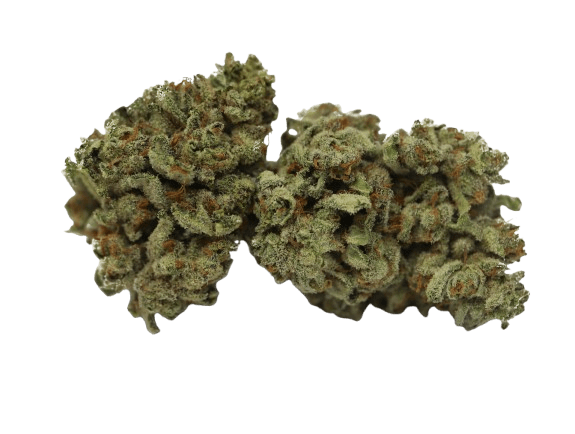 Tilray THC22 Spotlight Porto W Wappa