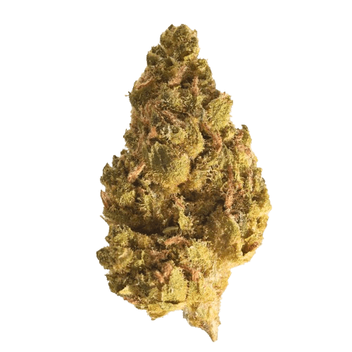 Together Pharma WC 23/1 Wedding Cake