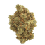 Truth Holdings LH 29/1 Liberty Haze