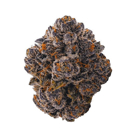 Vasco x Cipher BB 28/1 Blueberry Banana