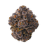 Vasco x Cipher BB 28/1 Blueberry Banana