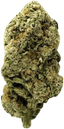 ZOIKS 22/1 ALM Alienmax