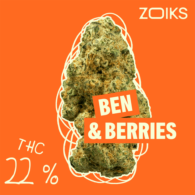 ZOIKS 22/1 BB Ben & Berries