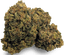 Zoiks 22/1 SLD Sun Lemon Diesel
