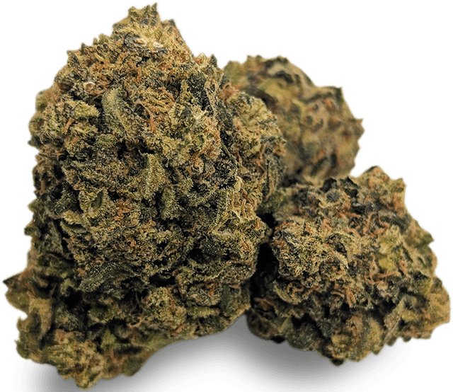 Zoiks 22/1 SLD Sun Lemon Diesel