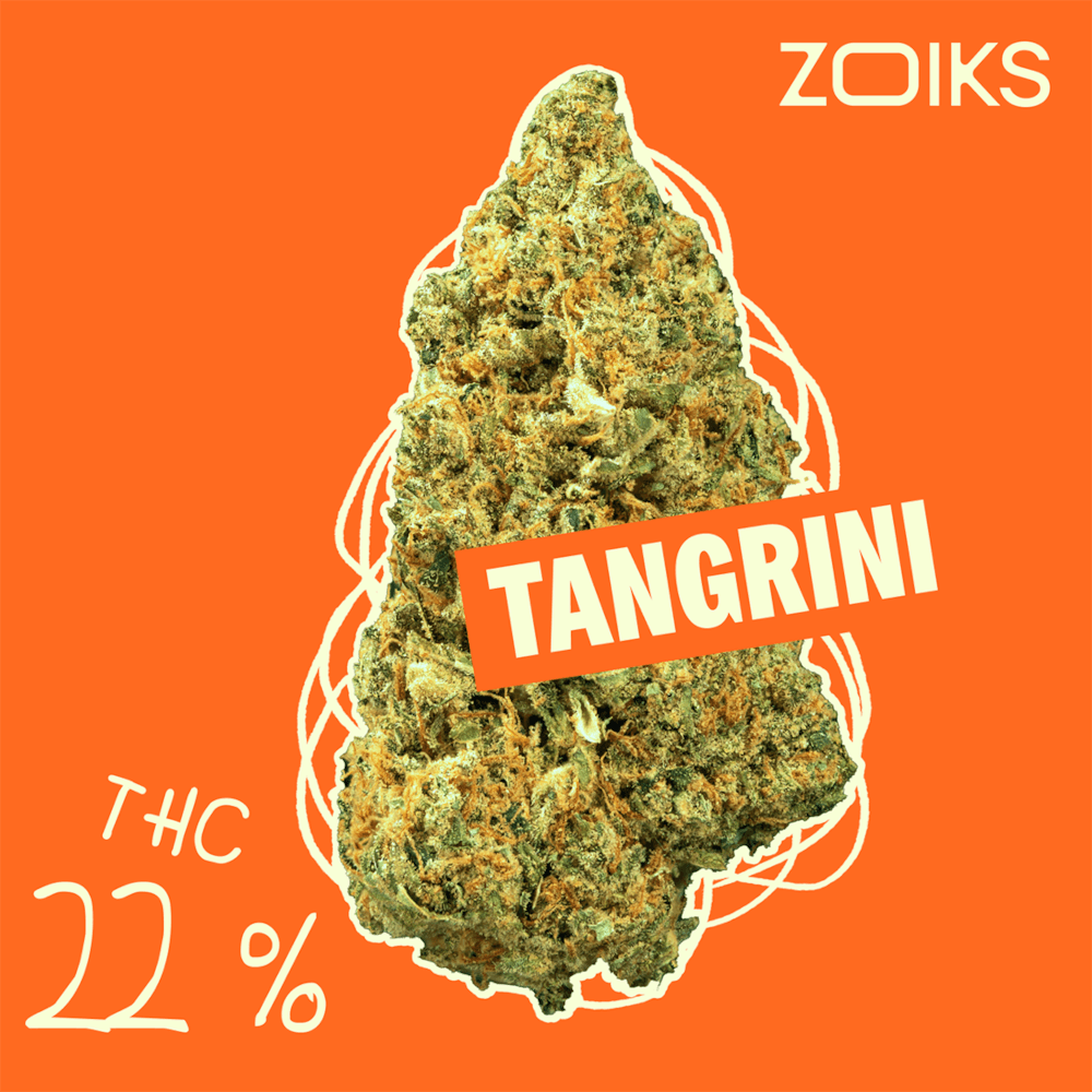 ZOIKS 22/1 TG Tangrini
