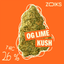 ZOIKS 26/1 LK OG Lime Kush