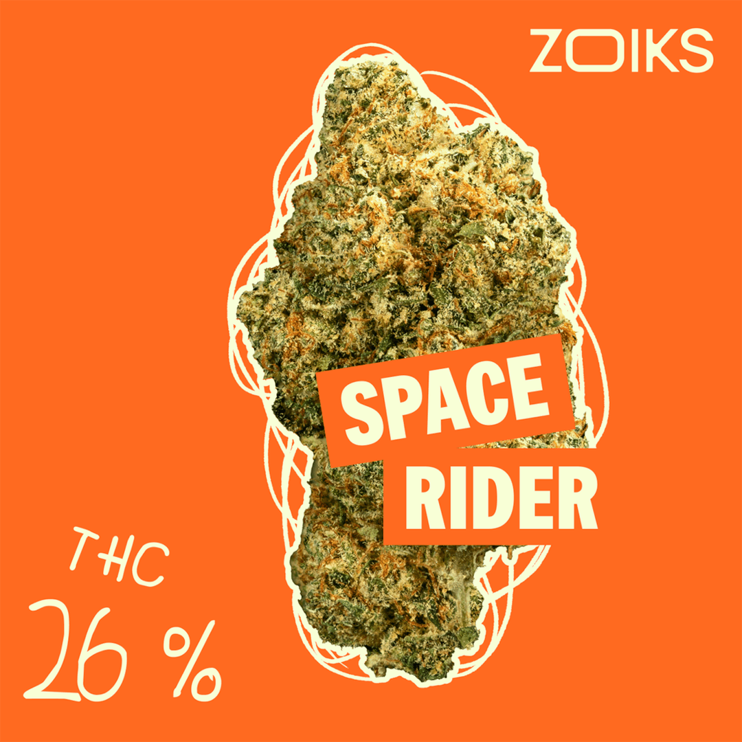 ZOIKS 26/1 SR Space Rider