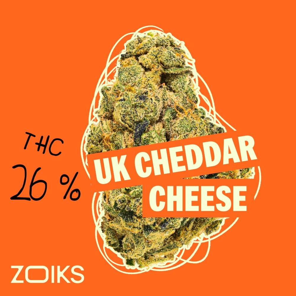 ZOIKS 26/1 UKCC UK Cheddar Cheese