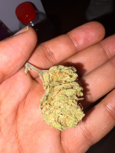 Bewertungsbild