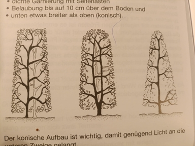 Bewertungsbild