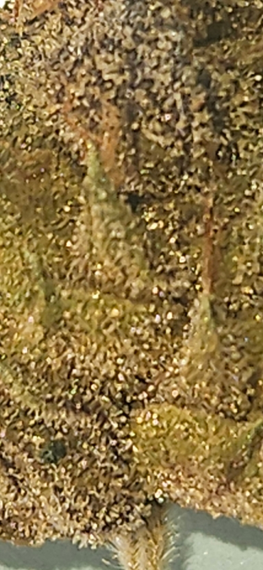 Bewertungsbild