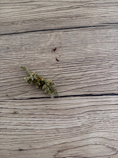 Bewertungsbild