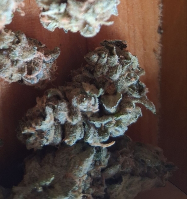 Bewertungsbild