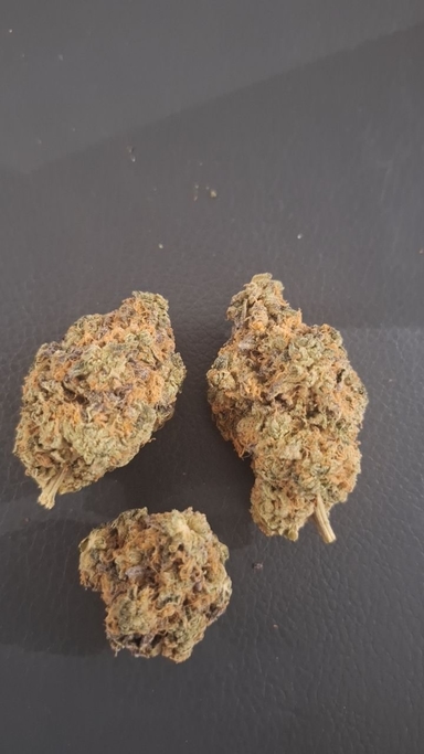 Bewertungsbild