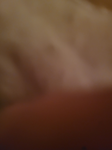 Bewertungsbild