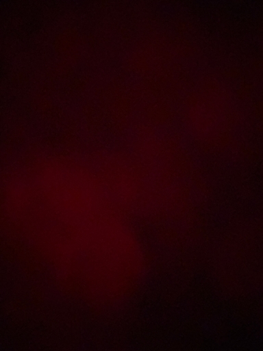 Bewertungsbild