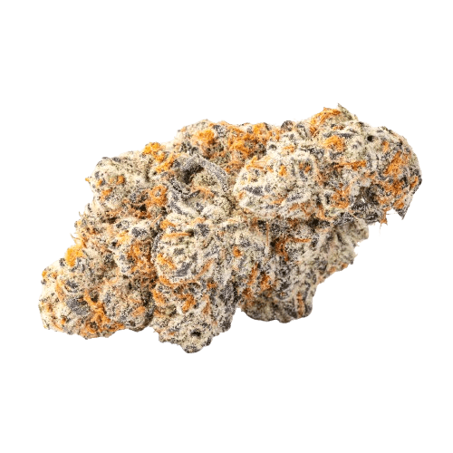 28/1 Amici RV Red Velvet