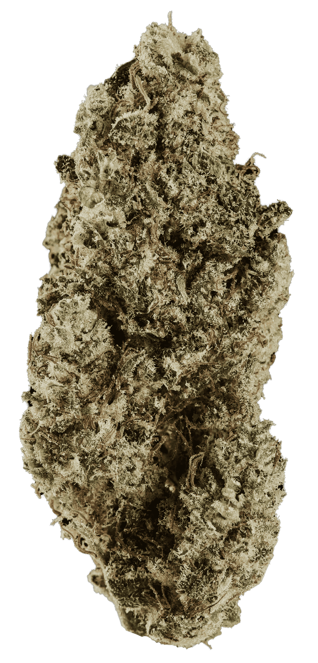 420 Compound 25/1 RPV Rose Gold Pave