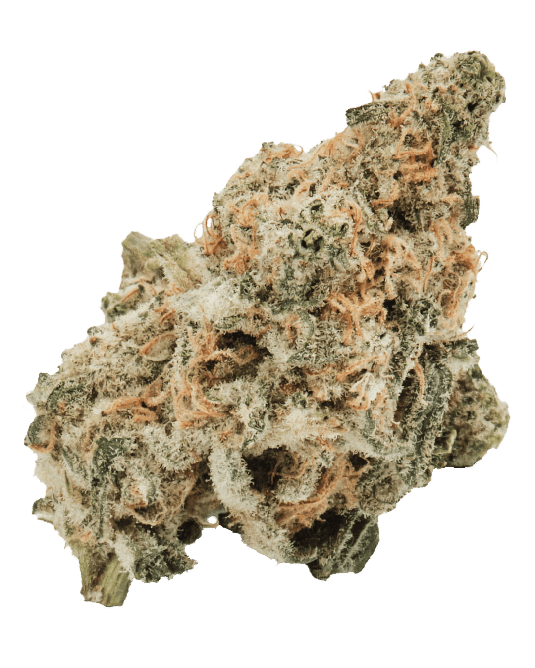 420 Evolution 22/1 CA MAC