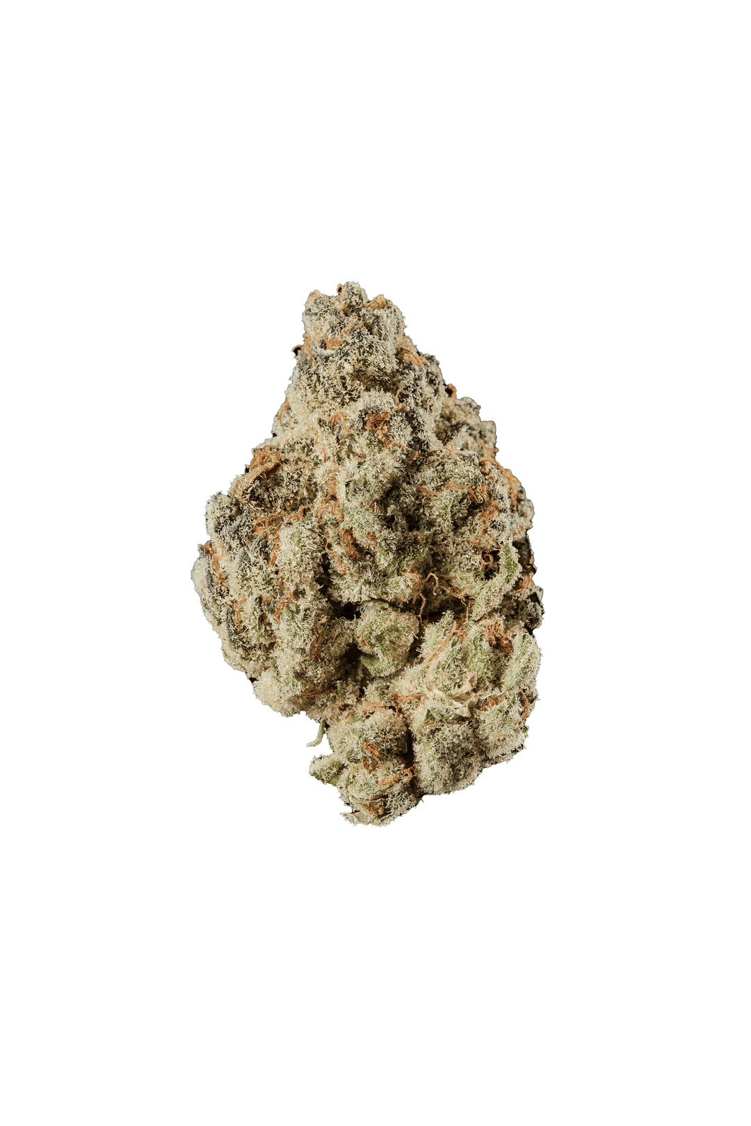 420 Evolution 25/1 CA UNC Unicorn Cake