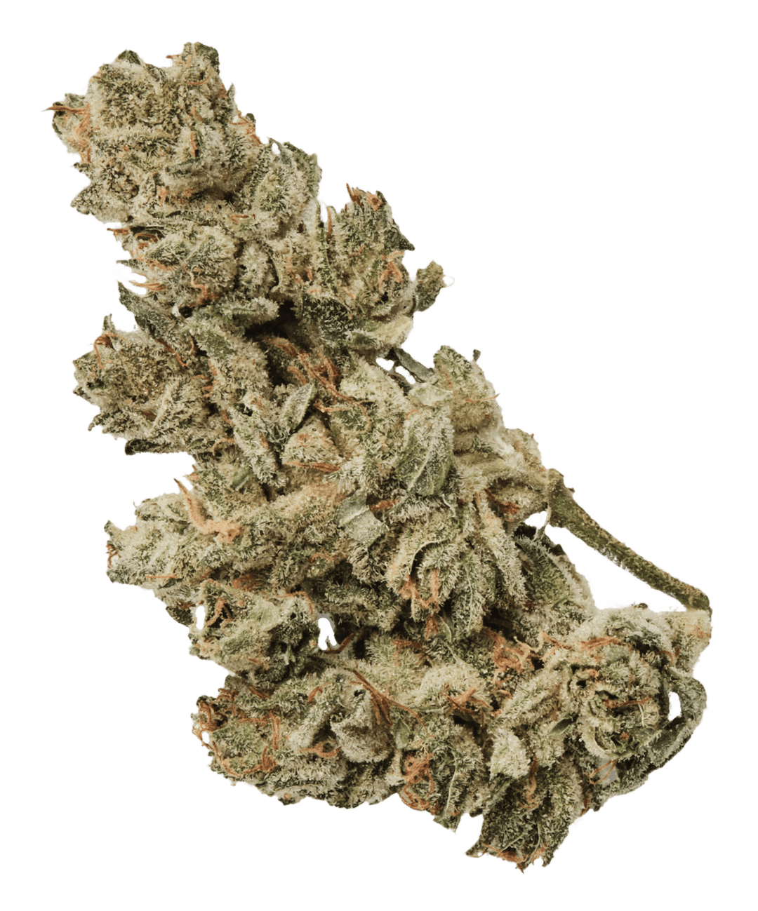 420 Natural 22/1 CA GG4 Gorilla Glue