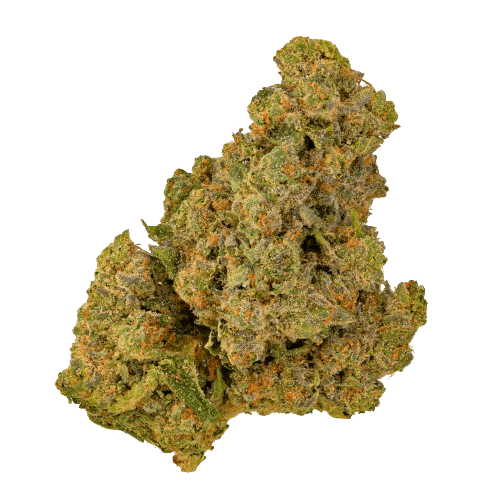 Aurora 24/1 PNK-CA Pink Kush