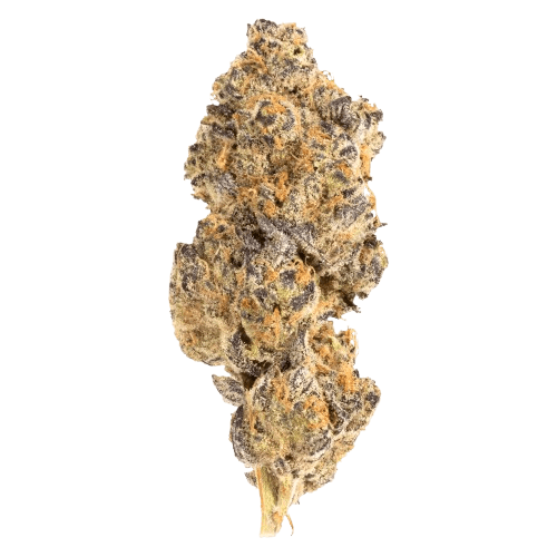 avaay 28/1 GNC Grapes and Cream