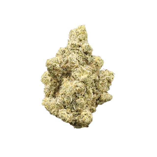 avaay 29/1 CP Candy Pave