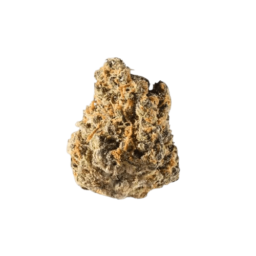 avaay Signature 7/11 GCO  Green Croc Orange