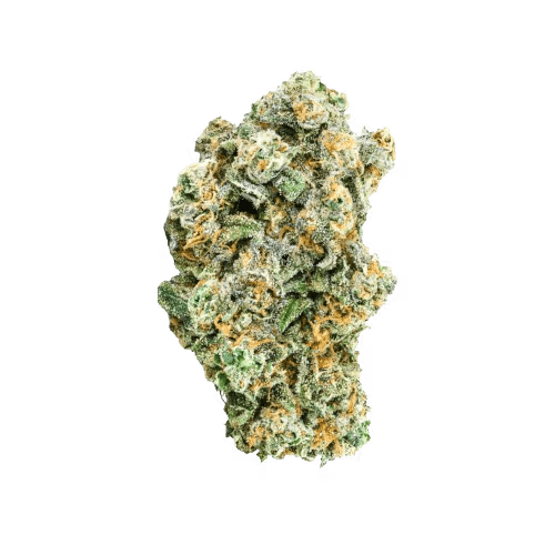 avaay Signature 26/1 LEM Lemon Loaf