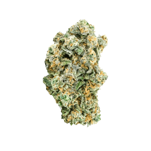 avaay Signature 29/1 LEM Lemon Loaf