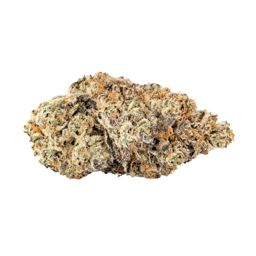 Barongo 26/1 SSS Sunset Strudel