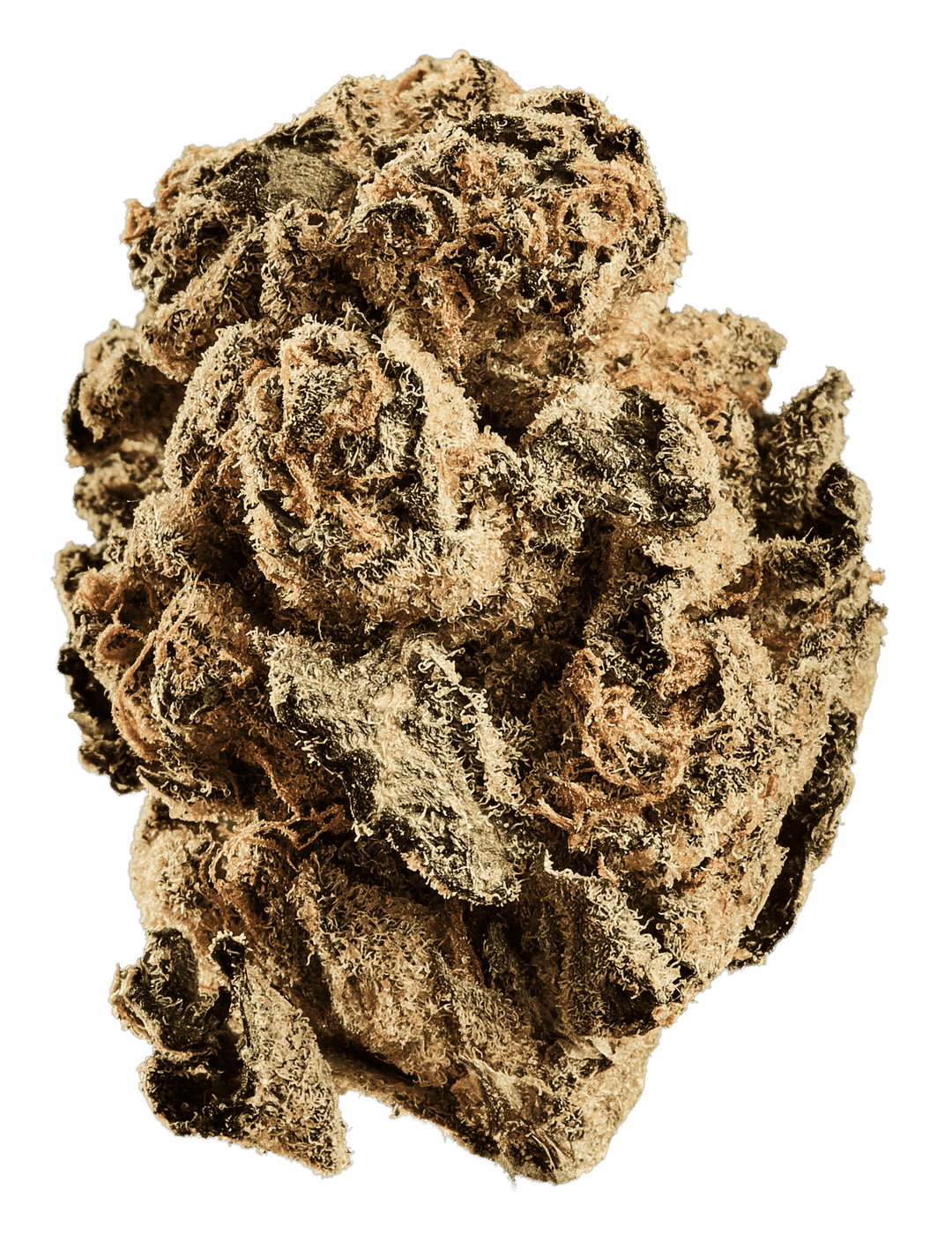 Curaleaf Natural 25/1 PT ZKS Zookies