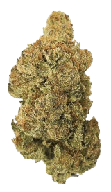 Drapalin 24/1 Full Gas