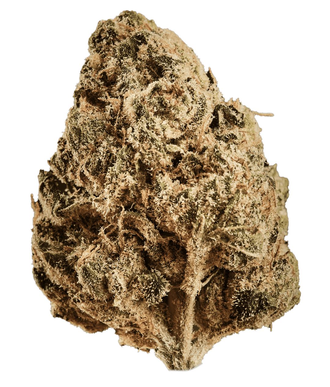 Huala 20/1 CA ALM Alien Mints