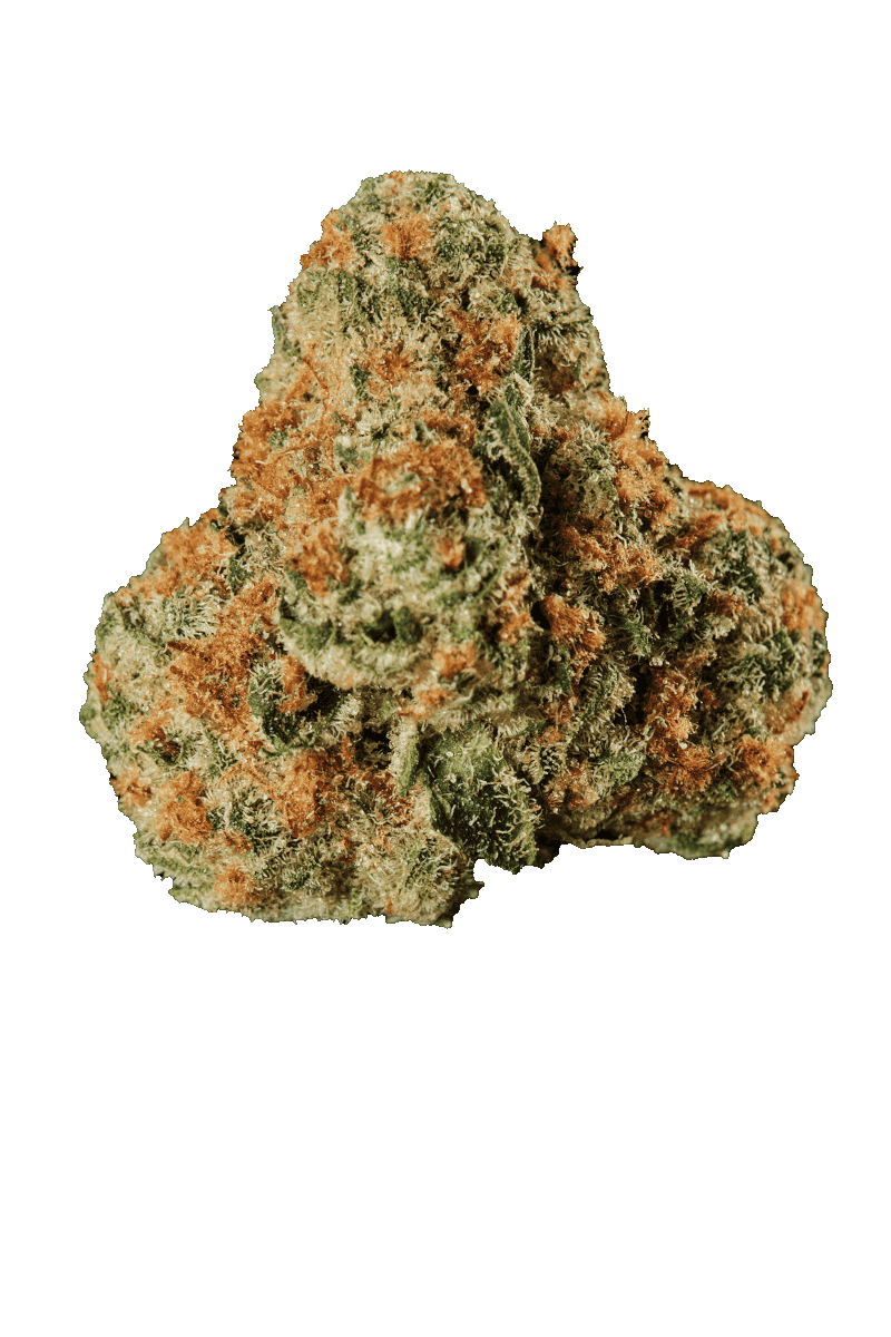 Huala 25/1 UK WTR Waffle Truffle