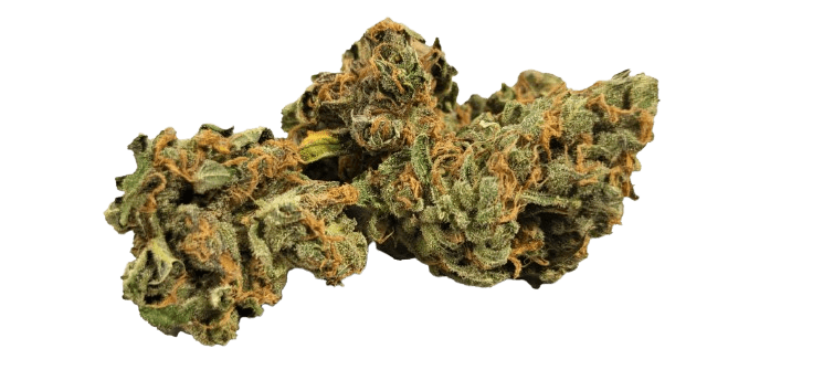 IndiMed 20/1 ISS - DE Island Sweet Skunk