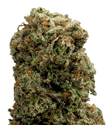 MediproCan LUNARIS 25/1 Capri Haze