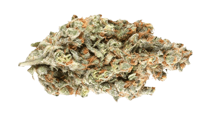 NICE 13/1 SD Sour Diesel