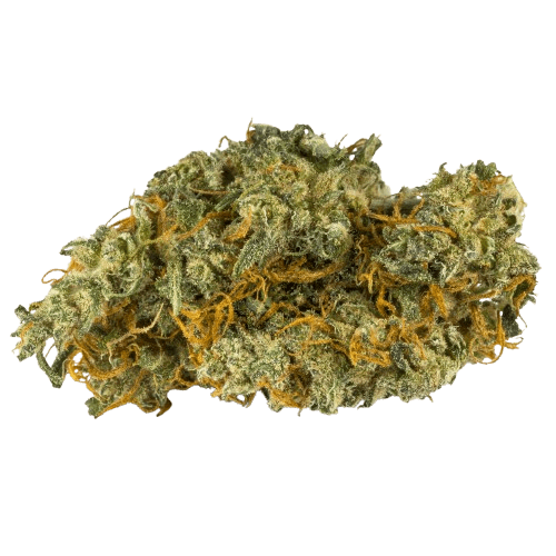 Pedanios 10/10 EQI-CA Equiposa