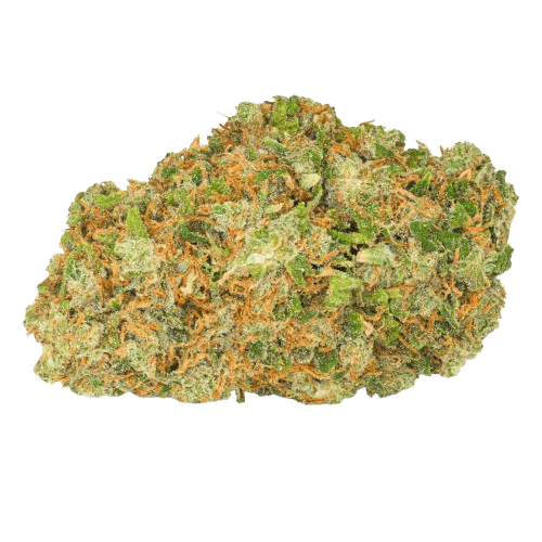 Pedanios 22/1 Ghost Train Haze